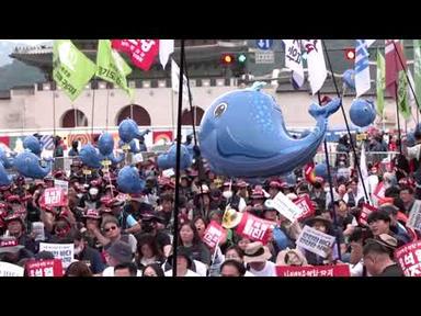 IAEA chief&#39;s South Korea visit draws protests over Fukushima