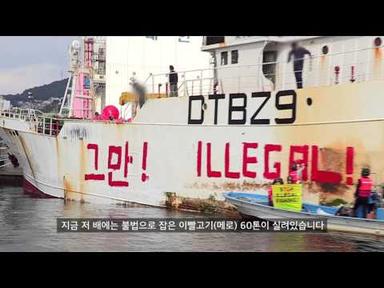그린피스 활동가들이 부산 감천항에 출동한 이유는?