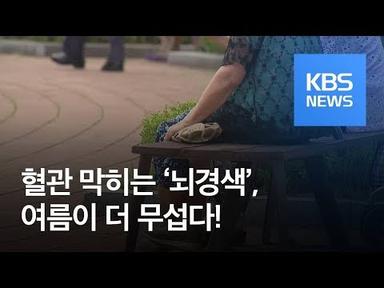 [5분 건강 톡톡] 폭염, 혈관 막히는 ‘뇌경색’ 도 주의하세요! / KBS뉴스(News)