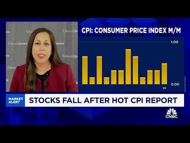 The CPI report is making the market price itself more realistically, says Edward Jones&#39; Mona Mahajan
