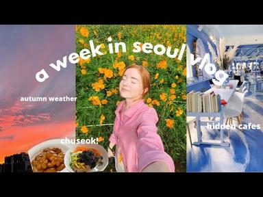 a week of my life in seoul, korea vlog | new visa, chuseok, autumn weather, hidden cafes, sunsets