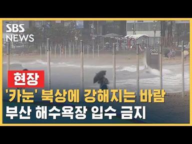 [태풍 카눈] &#39;카눈&#39; 북상에 강해지는 바람…부산 해수욕장 입수 금지 / SBS