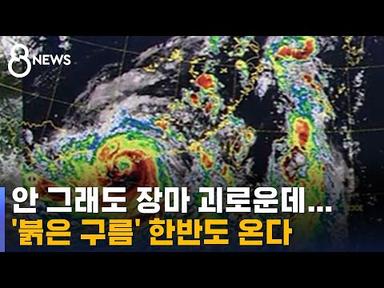 강풍·폭우 안은 &#39;붉은 구름&#39;…한반도 바짝 접근 중 / SBS 8뉴스