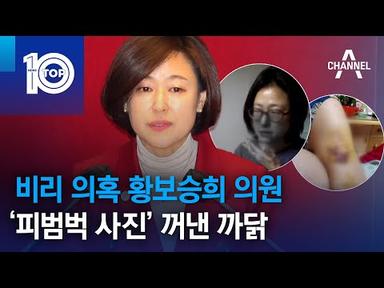 비리 의혹 황보승희 의원…‘피범벅 사진’ 꺼낸 까닭 | 뉴스TOP 10
