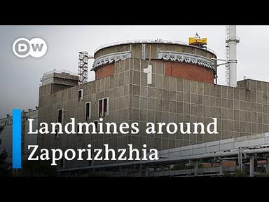 IAEA finds anti-personnel landmines on periphery of Zaporizhzhia nuclear power plant | DW News