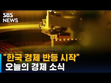 KDI &quot;반도체 경기 부진 완화…한국 경제 반등 시작&quot; / SBS
