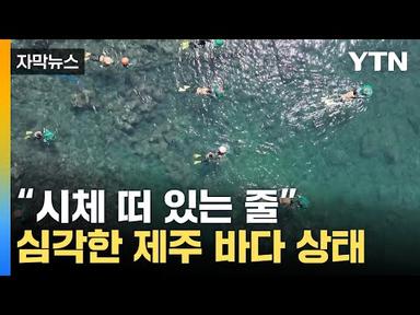 [자막뉴스] 위협적으로 바다 뒤덮어…제주도 실제 상황 / YTN