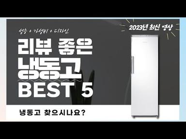 냉동고 추천 2023 Best 5 (리뷰 간단 정리 영상)