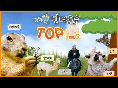 얘네가 반려동물..⁉ 이색🐷🦙 반려동물 TOP 5❗ [KBS대/세/남 With Animals] / KBS 방송