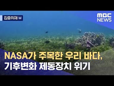 [집중취재M] NASA가 주목한 우리 바다, 기후변화 제동장치 위기 (2022.09.12/뉴스데스크/MBC)