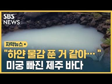 하얗게 변해버린 제주 바다…한 곳만이 아니다 (자막뉴스) / SBS