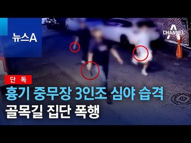 [단독]흉기 중무장 3인조 심야 습격…골목길 집단 폭행 | 뉴스A