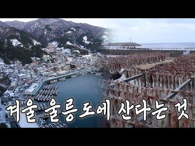 겨울엔 더 특별한 곳 울릉도, 그곳에서 사는 사람들의 이야기｜[국내다큐] KBS 20150214