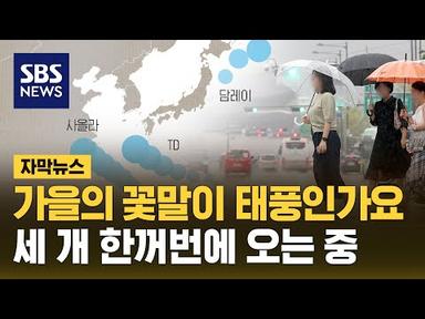 가을은 태풍과 함께? 세 개 한꺼번에 온다 (자막뉴스) / SBS