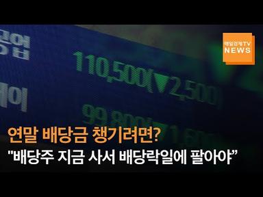 [매일경제TV 뉴스] 연말 배당금 챙기려면?…&quot;배당주 지금 사서 배당락일에 팔아야”