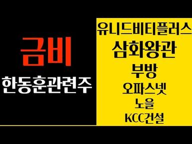 금비외 한동훈 관련주 TOP10