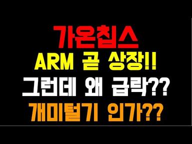 9월 13일 관심주 - 가온칩스(파두, 텔레칩스, 칩스앤미디어)