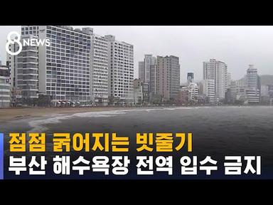 [태풍 카눈] 점점 굵어지는 빗줄기…부산 해수욕장 전역 입수 금지 / SBS 8뉴스