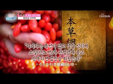 『 진도산 구기자 』 혈관 관리를 위한 특별한 비책😎 TV CHOSUN 230406 방송 | [굿모닝 정보세상] 808회 | TV조선