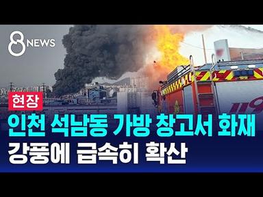 [현장] 인천 석남동 가방 창고서 화재…강풍에 급속히 확산 / SBS 8뉴스