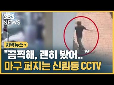 &quot;보지마, 끔찍해&quot; 잔혹한 범행 장면이 그대로…CCTV 무차별 확산 (자막뉴스) / SBS