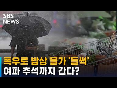 폭우 피해로 밥상 물가 &#39;들썩&#39;…추석까지 영향 미칠 수도 / SBS