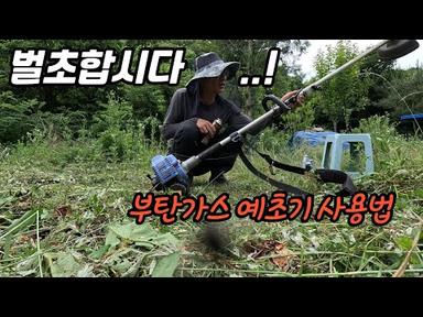 부탄가스 예초기 사용법 | 귀국 후 엉망인 농장 벌초 중