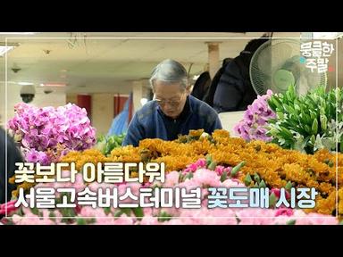 [뭉클한 주말🥰 #61] 꽃보다 아름다워 - 서울고속버스터미널 꽃도매 시장 72시간 [다큐3일 | KBS 20140223 방송]