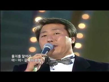 박일남 - 갈대의 순정
