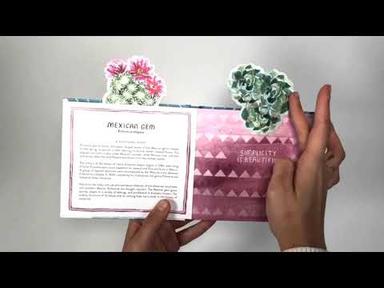 SUCCULENTS IN A BOOK (UPLIFTING EDITIONS) By Molly Hatch