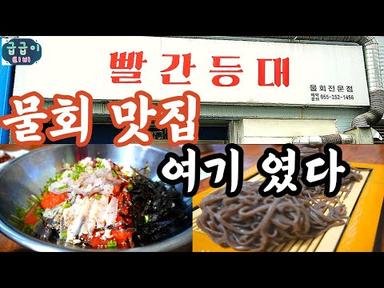 (창원맛집)골목에 숨어 있는 찐 숨은 맛집 앞으로 물회 먹으러 멀리 가지 마이소~#koreanfood