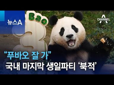 “푸바오 잘 가”…국내 마지막 생일파티 ‘북적’ | 뉴스A