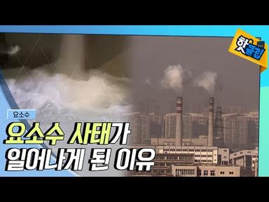 [핫클립] 요소수 대란의 배경과 우리나라의 대응  / YTN 사이언스