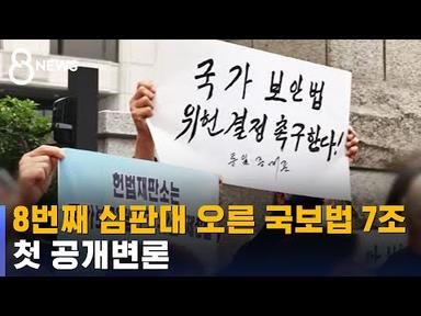 8번째 심판대 오른 국가보안법 7조…첫 공개변론 / SBS