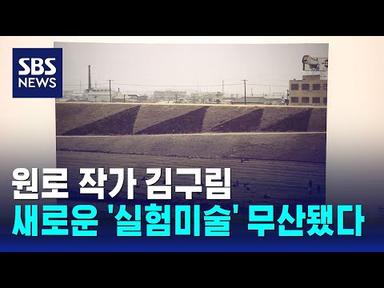 원로 작가 김구림, 새롭게 시도한 &#39;실험미술&#39; 무산됐다 / SBS / 문화현장