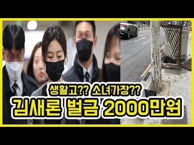 김새론 음주운전 벌금 2000만원 구형 논란 | 도람뿌