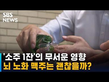 돌아온 회식…술 하루 한두 잔 마셔도 뇌 노화 빨라진다 / SBS
