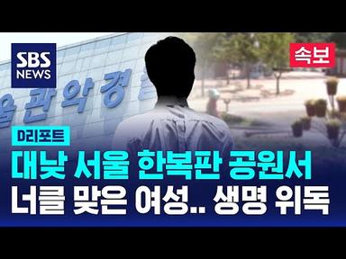 [속보] 대낮 서울 공원 한복판에서 30대 여성 성폭행…생명 위중 / SBS / #D리포트