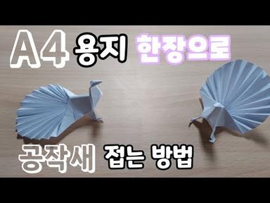 A4용지 한장으로 공작새 접기-origami_peacock