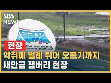 [현장] 새만금 잼버리 엿새 앞, 폭우에 배수 차질·악취…벌레 많아 / SBS