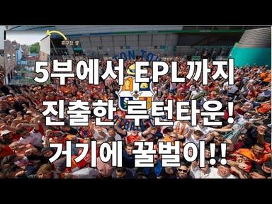 꿀벌 구단 루턴타운FC가 EPL에 올랐다!!  #epl #양봉 #토트넘