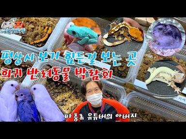 [EN]우리가 빠지면 파티가 아니지~! 희귀 반려 동물 박람회 숨겨진 아이들을 찾아라 Korea exotic animal party