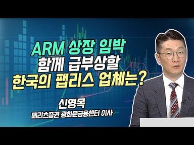 [신영목의 히든밸류] ARM 상장 임박 함께 급부상할 한국의 팹리스 업체는?   / 머니투데이방송 (증시, 증권)