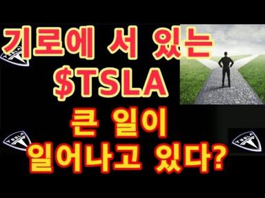기로에 서 있는 $TSLA / 중국에서 큰 일이 일어나고 있다? / $TSLA 차트 체크 / Tesla 주가 /  테슬라 투자 / 미국 주식