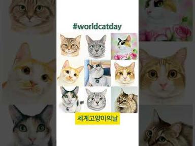 세계 고양이의 날 😻 #worldcatday