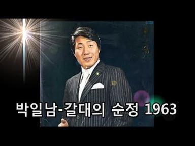 박일남~갈대의 순정 1963