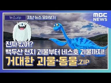 [뉴스.zip / 뉴스 모아보기] 진짜 있어? 백두산 천지 괴물부터 네스호 괴물까지! 거대한 괴물·동물.ZIP (MBC뉴스) #뉴스zip