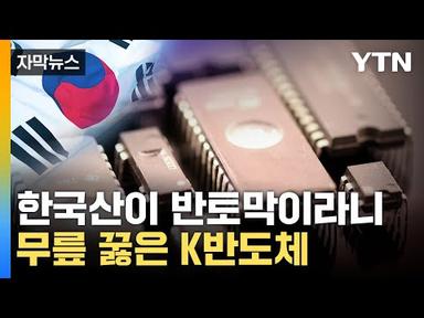 [자막뉴스] 韓 반도체 추락하는 사이...실적 싹쓸이한 기업 / YTN