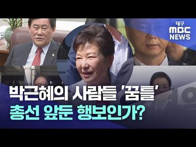 박근혜의 사람들 &#39;꿈틀&#39;...과연 통할까? | 대구MBC뉴스