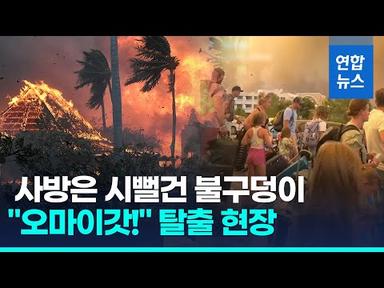 화마 삼킨 하와이 &#39;필사의 탈출&#39;…불길 덮치자 바다 뛰어들었다 / 연합뉴스 (Yonhapnews)